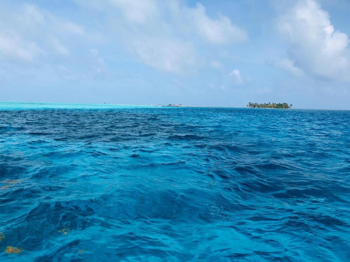 Joebi'S House Walking Distance To Rocky Cay Beach Ideal For Families Or Groups Buenavista  Kültér fotó