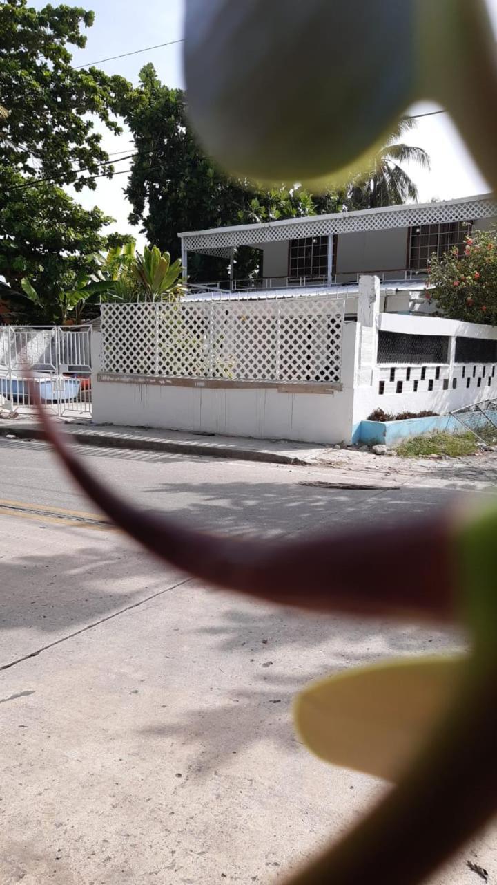 Joebi'S House Walking Distance To Rocky Cay Beach Ideal For Families Or Groups Buenavista  Kültér fotó
